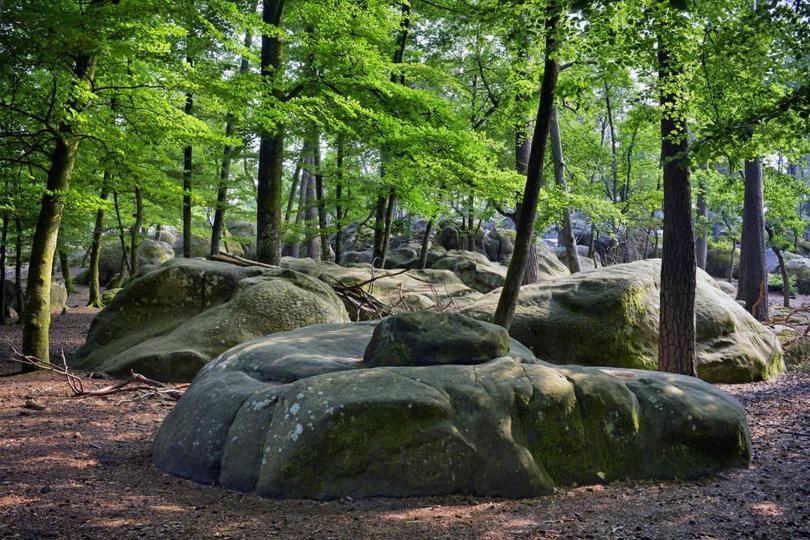 Recloses Maison De Charme En Foret De Fontainebleau المظهر الخارجي الصورة